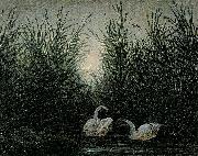 Caspar David Friedrich Schwaene im Schilf Sweden oil painting artist